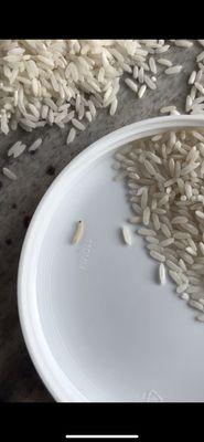 Maggot in rice.