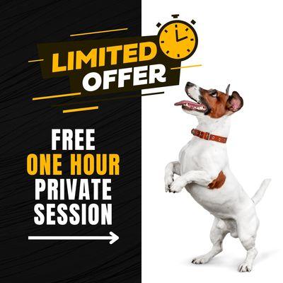 Limited Offer - FREE One Hour Privet Session