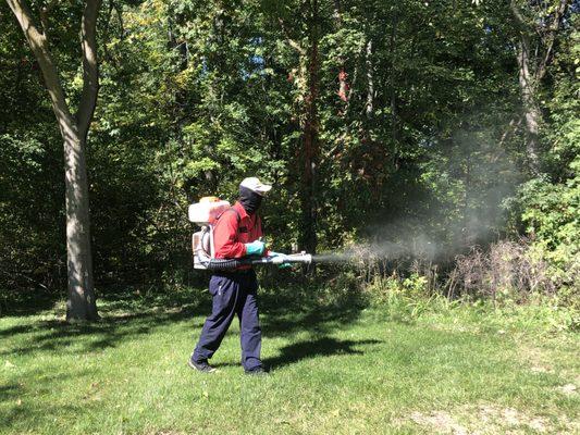 Mosquito Control | Custom Personalized Lawn Care