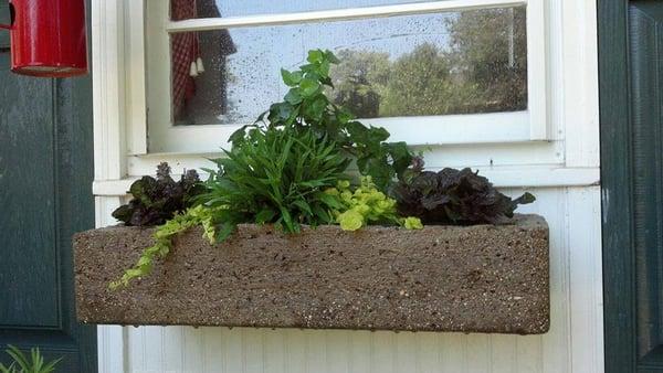 Custom Window Box