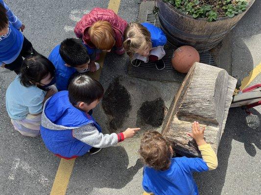 Argonne Early Education School