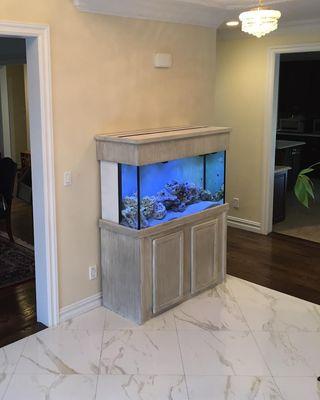 90 gallon marine aquarium installed and serviced by @tankmelaterllc