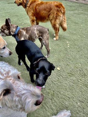 Making new friends at daycare