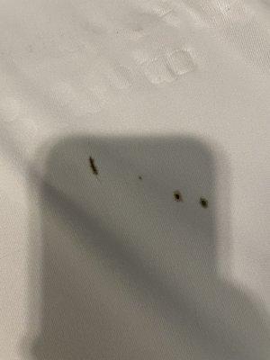 Bed bug fecal matter