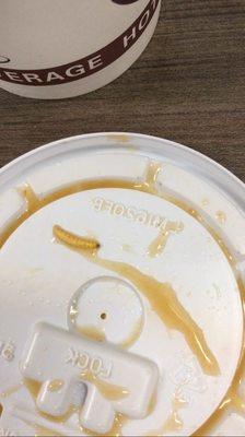 A Dead Maggot in the soup!!