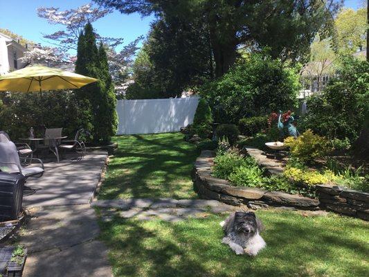 Backyard walls and walkway Goshen stone