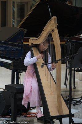 Harp Student.