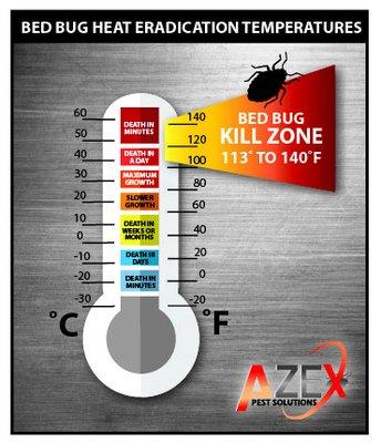 Kill Bed Bugs with Heat