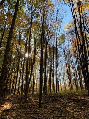 Sleepy Hollow State Park