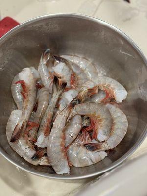 DELICIOUS sweet Savannah shrimp