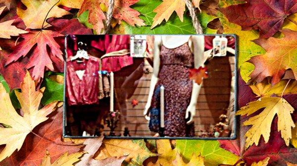 Fall Window Display.