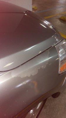 Front passenger side - the paint is completely peeling off in an area that has no contact with other cars.