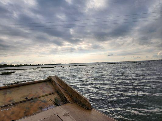 Airboat Tours By Arthur Matherne