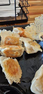 Seared Dumplings