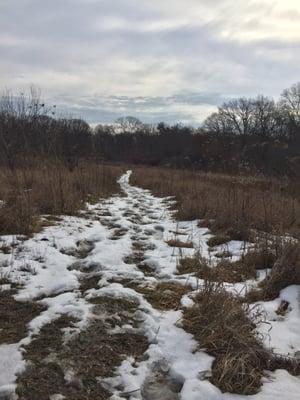 Another trail after a fresh snowfall.