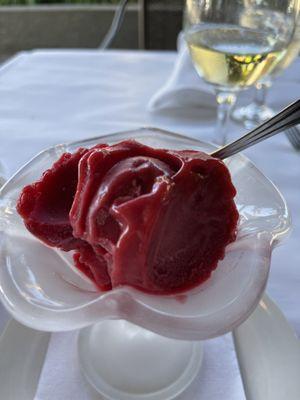 Raspberry Sorbet. Excellent.