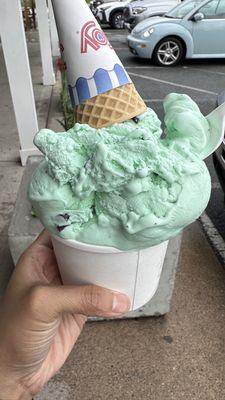 Small Mint chip ice cream