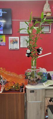 This is lucky bamboo and cute panda