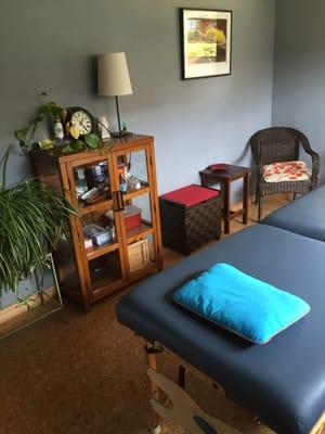 Dr. Stason's treatment room, has great natural light and a view of our backyard garden.