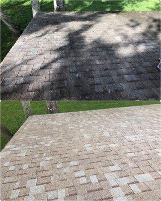 A roof cleaning job we did in new smyrna beach, florida