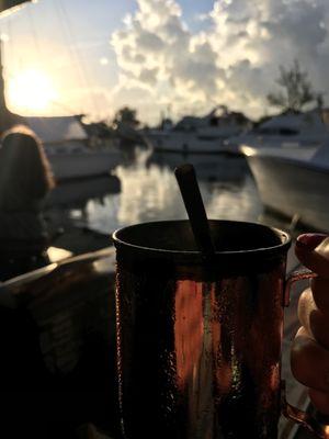 Mule with a view