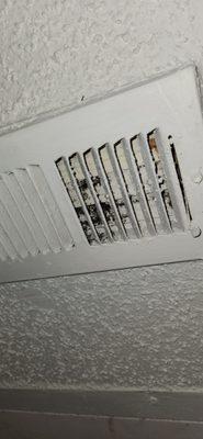 These are all different vents in my home.