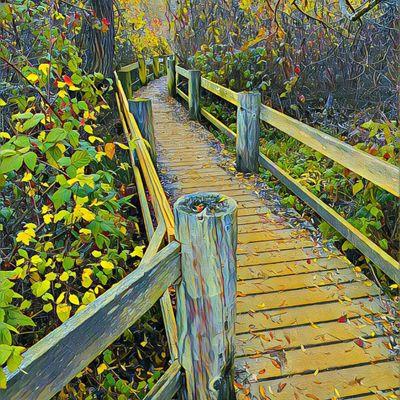 Boardwalk at Jewel Lake