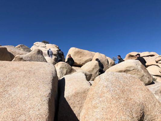 The rock formations in Joshua Tree National Park are incredible!