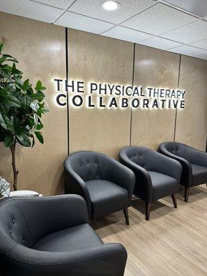 The Physical Therapy Collaborative