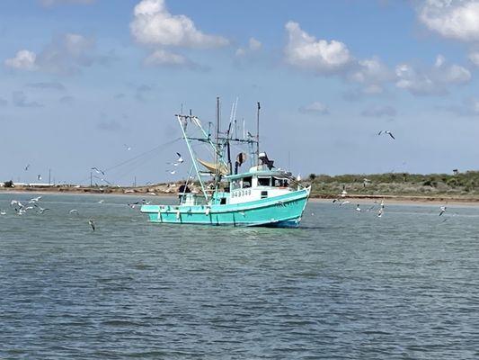 Fishing boat with lots of feathered friends