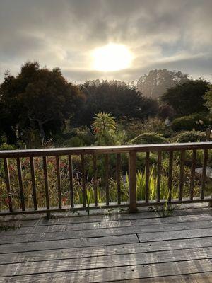 View from the patio, King room with a garden view.