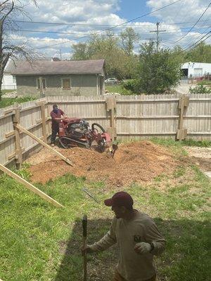 Stump grinding