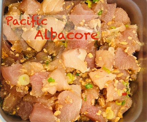 Come to try or Today Special Pacific Albacore.