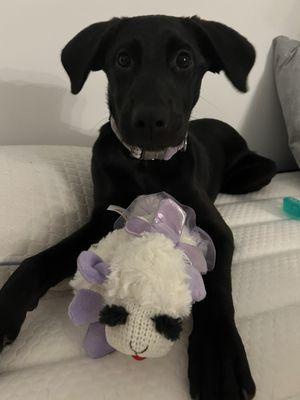 Winona and her Fairy toy.