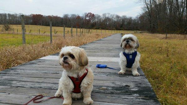 Boardwalk in on the Seward Johnson portion of the preserve.