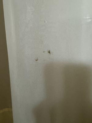 Stain/booger on shower curtain