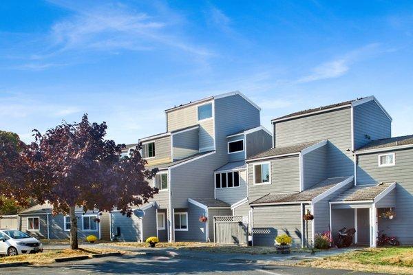 Birch Bay Townhouses