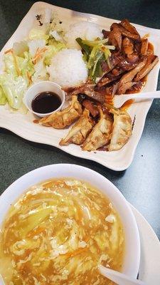 Chicken and gyoza teriyaki and hot and sour soup