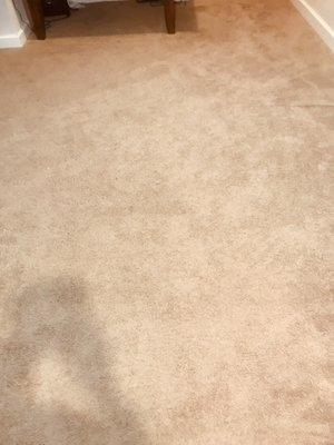 Carpet Cleaning