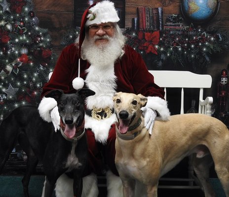 Pictures with Santa is a yearly event at Trendi Pawz