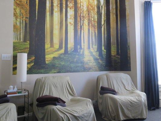 Our tranquil group acupuncture room has 8 chairs.