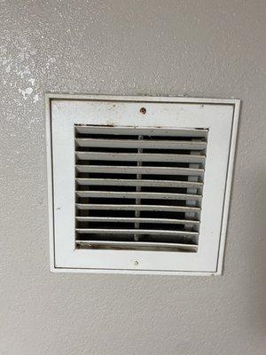 Dirt in the vent