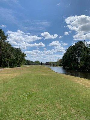 Hole 15 tee box