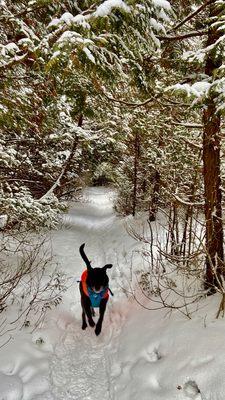 Cross-country skiing