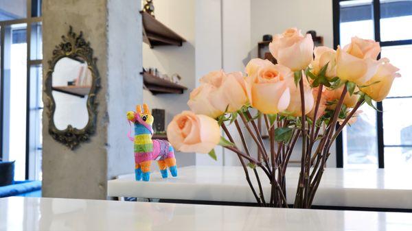 Say hi to Hotey, our tiny pinata donkey mascot.