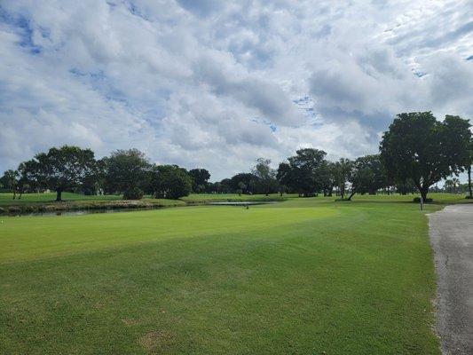 Putting green and iguanas