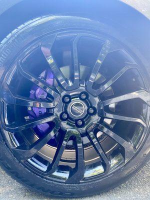 Purple calipers