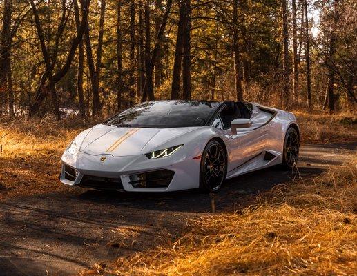 White Lambo Huracán for rent and or test drive experience