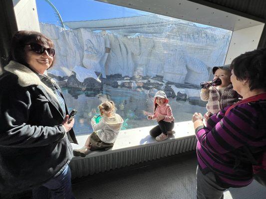 More Arctic Exhibit