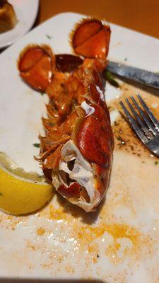 My  delicious Fresh Lobster   forgot to get pic before I devoured it